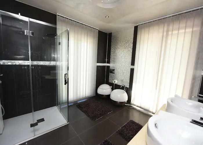 瓦莱里奥别墅 *